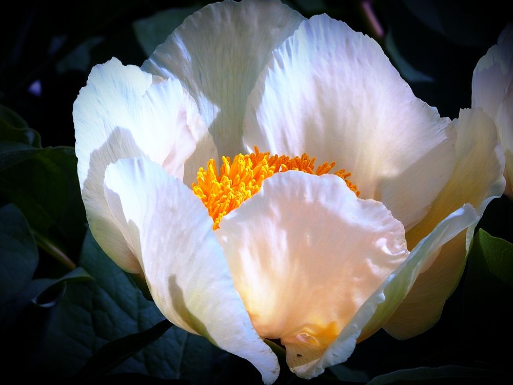 Photograph by Наталия Романова