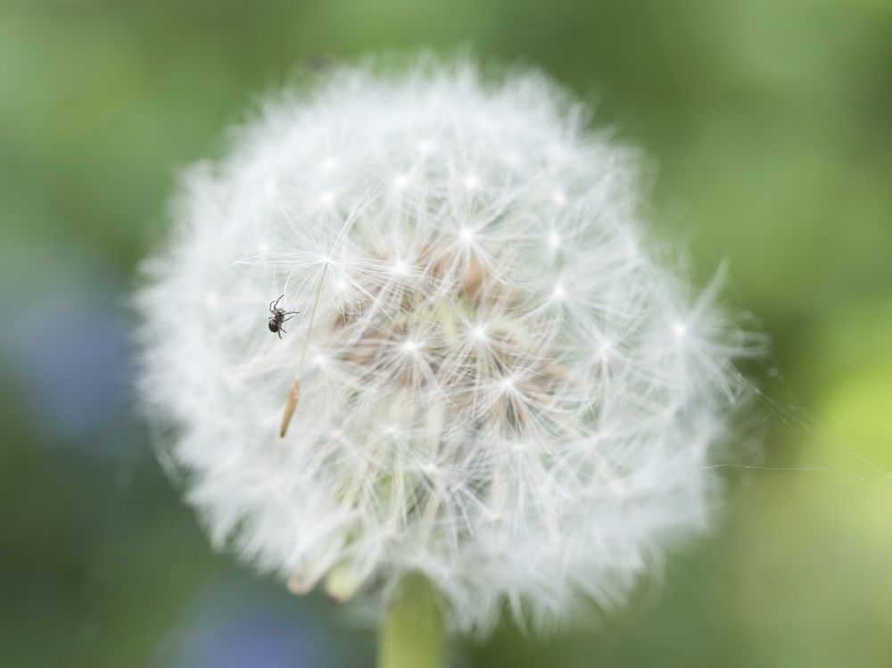 Photograph by Shuo-Wei Chang