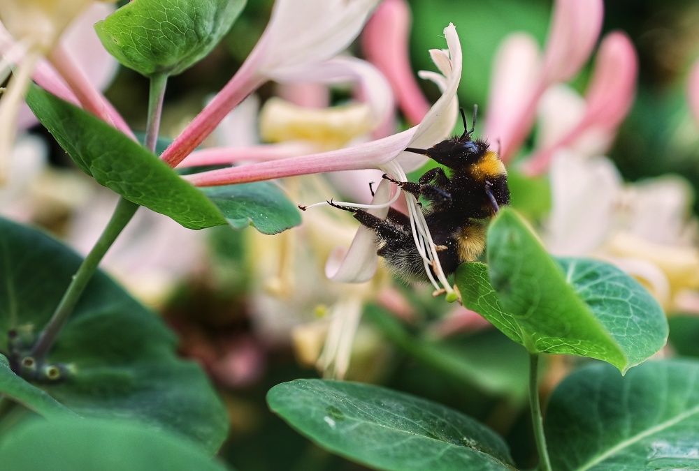 Photograph by Аряева Анна