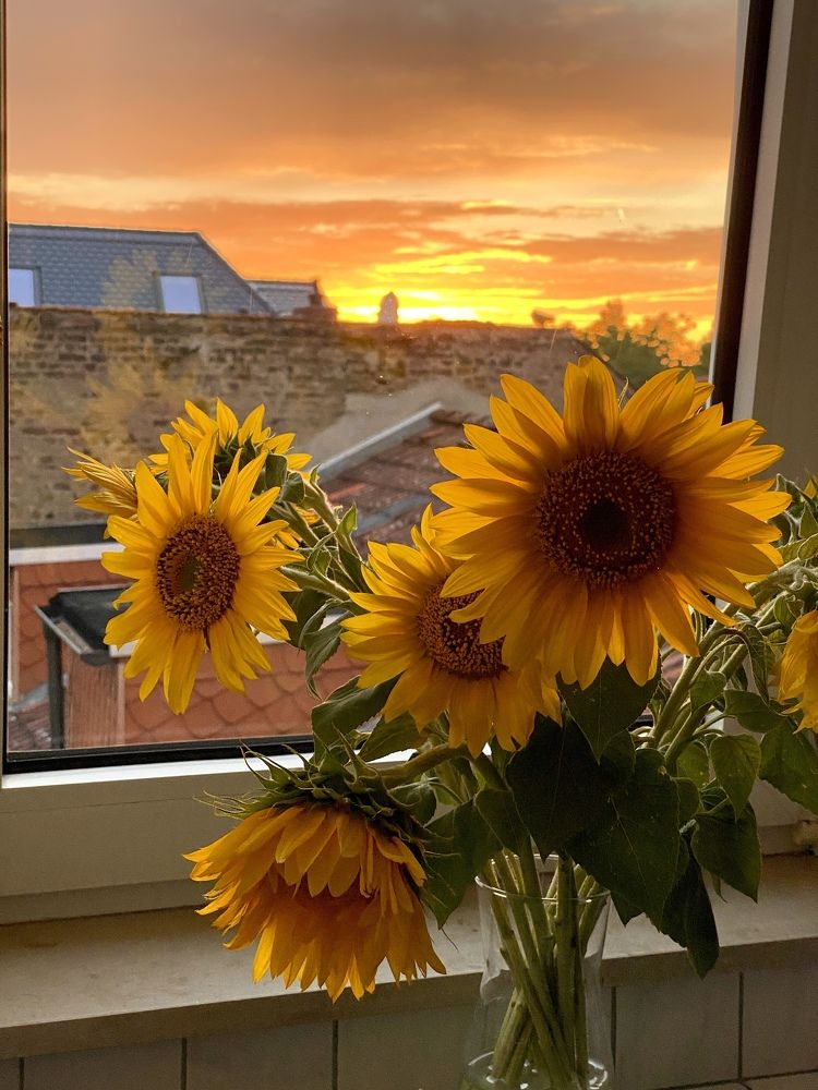 Photograph by Наталья Посашко