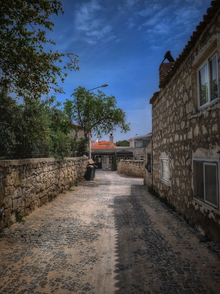 Photograph by Дарья Вега