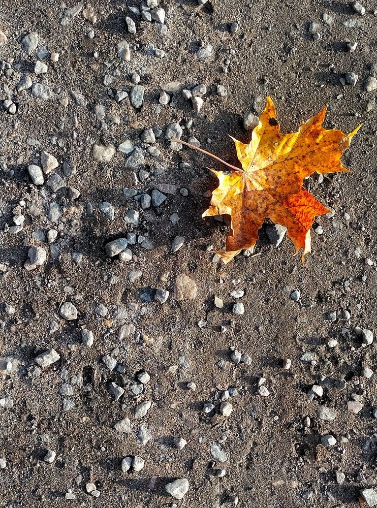 Photograph by Аряева Анна