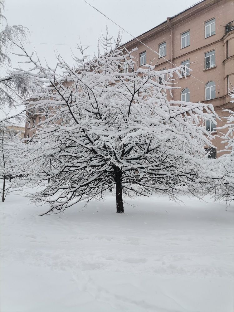 Photograph by Наталина Князева