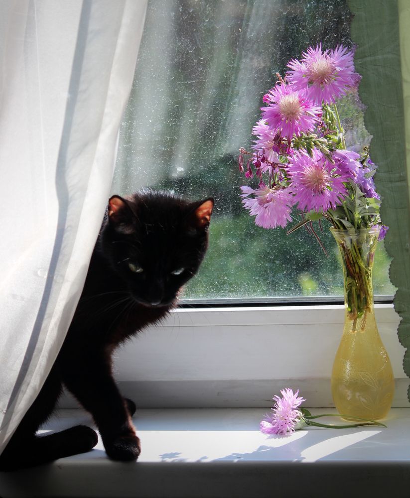 Photograph by Игорь Быков