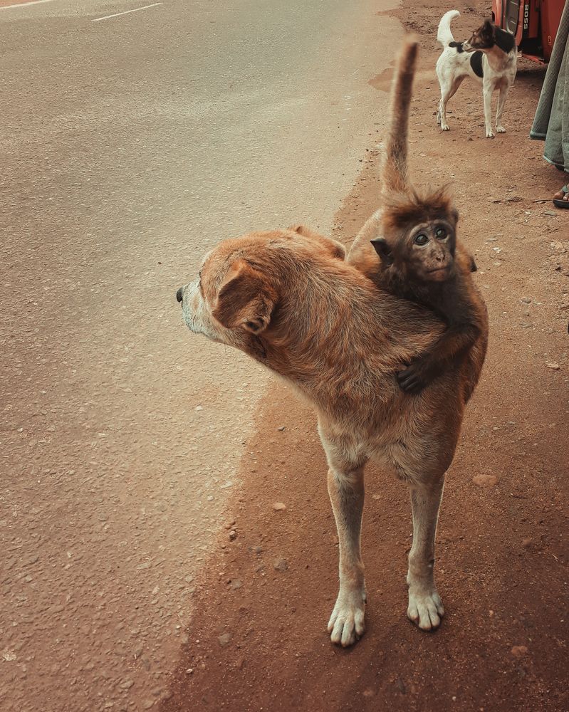 Photograph by Paramanadhan Madhan