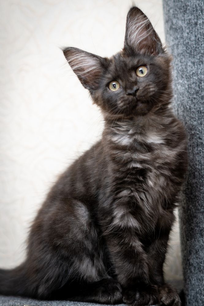 Photograph by Татьяна Васильева