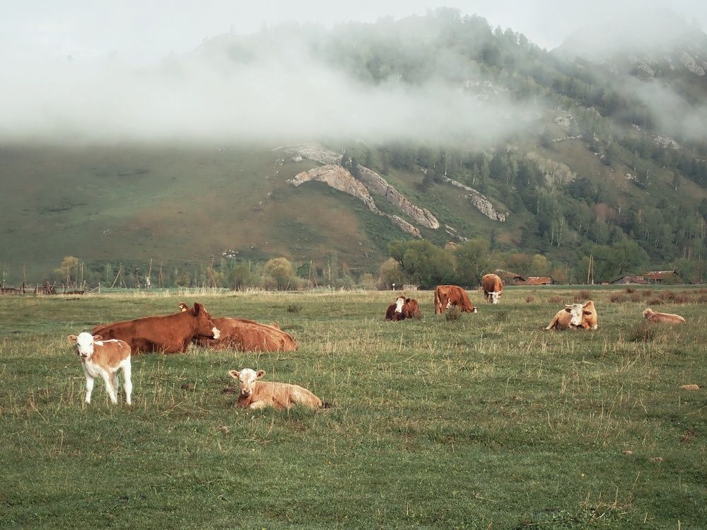 Photograph by Алина Эбель