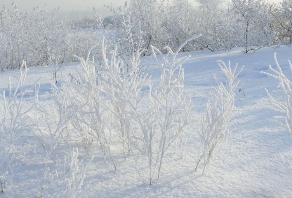 Photograph by Людмила Федорчак