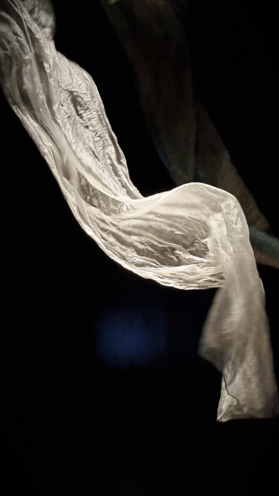 Photograph by Marie G