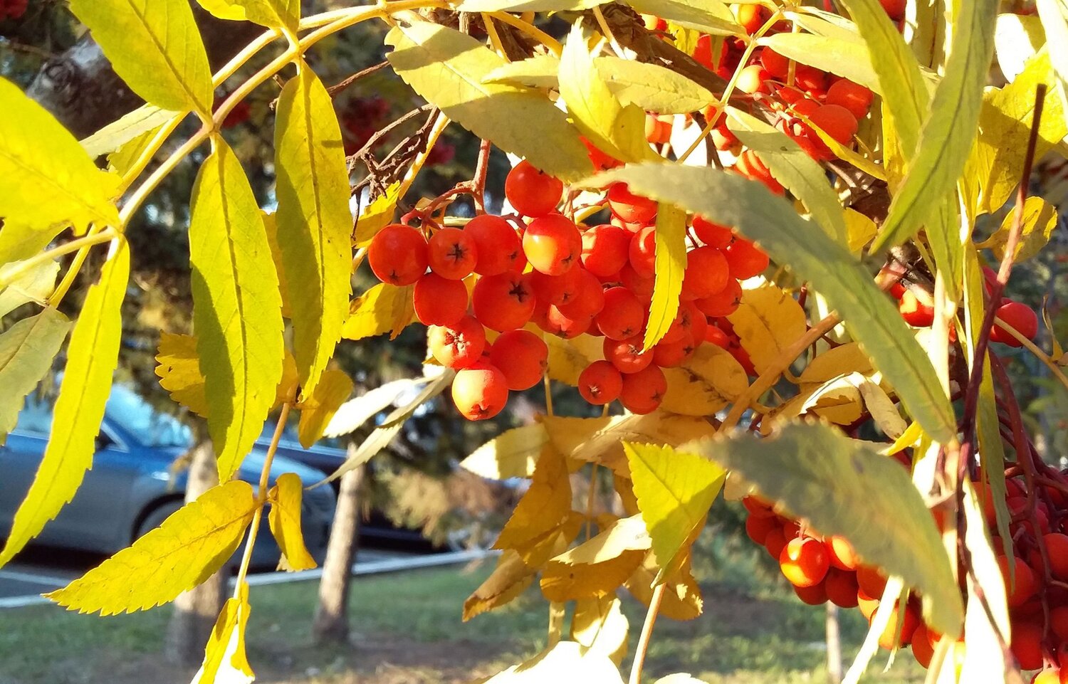 Photo #9467336