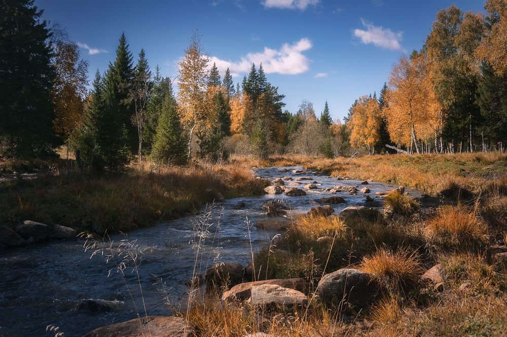 Осенняя палитра