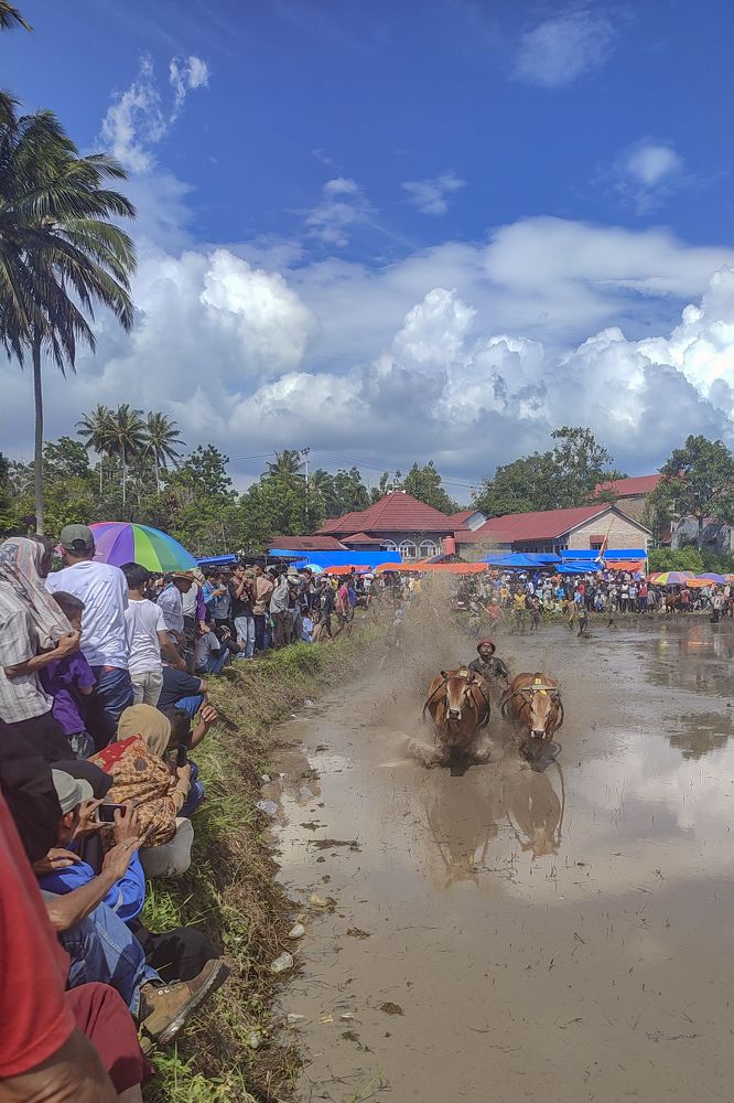 Photograph by Riski Donheri