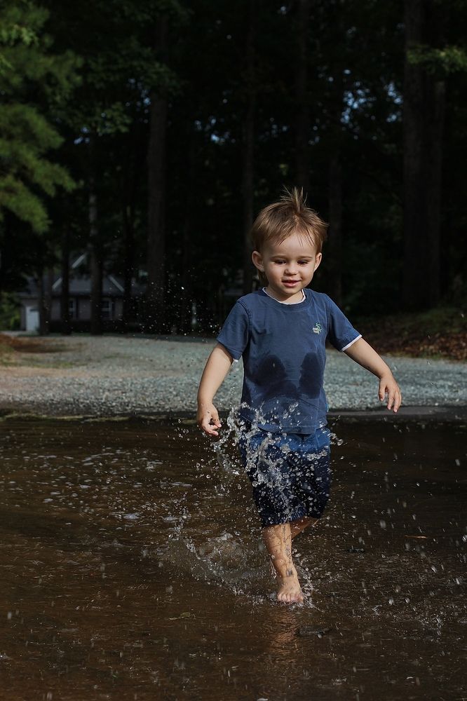 Фотография автора Olga Kichkaila