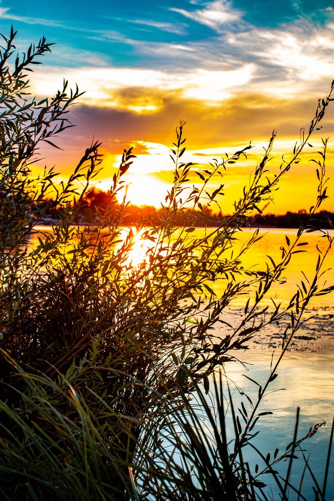 Photograph by Nikola Kengeli