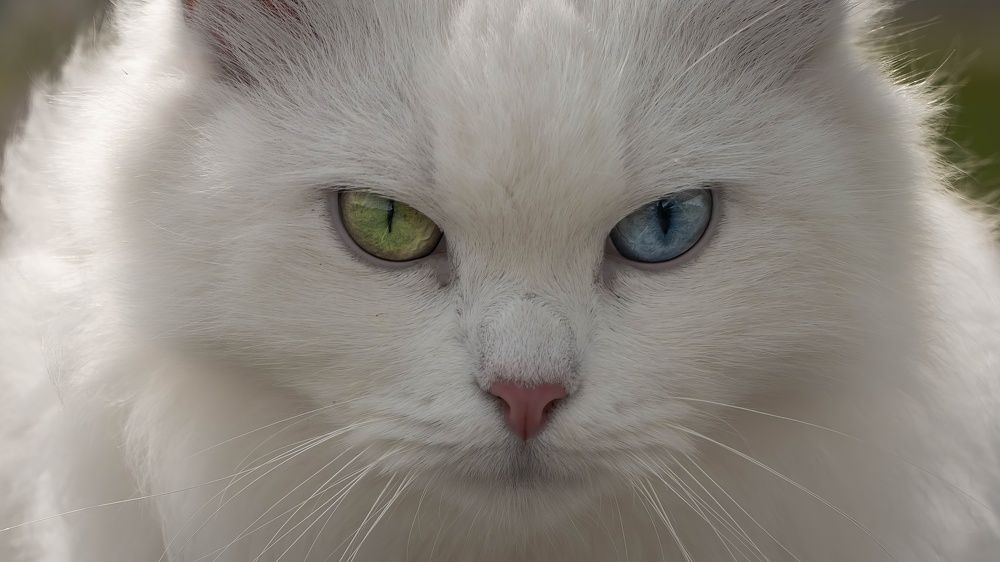 Photograph by Игорь Иванов