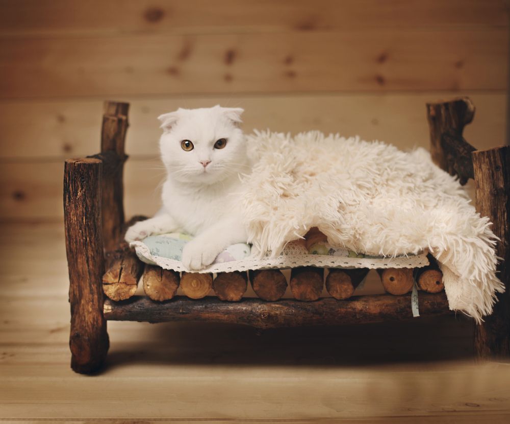 Photograph by Гаврильцова Светлана