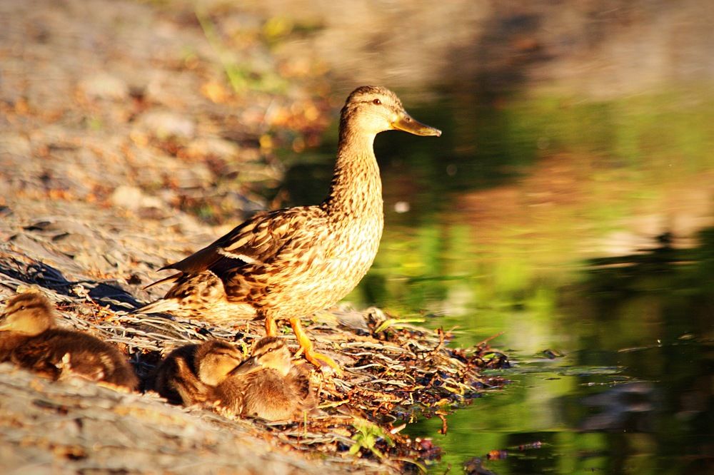 Photograph by Елена Смирнова
