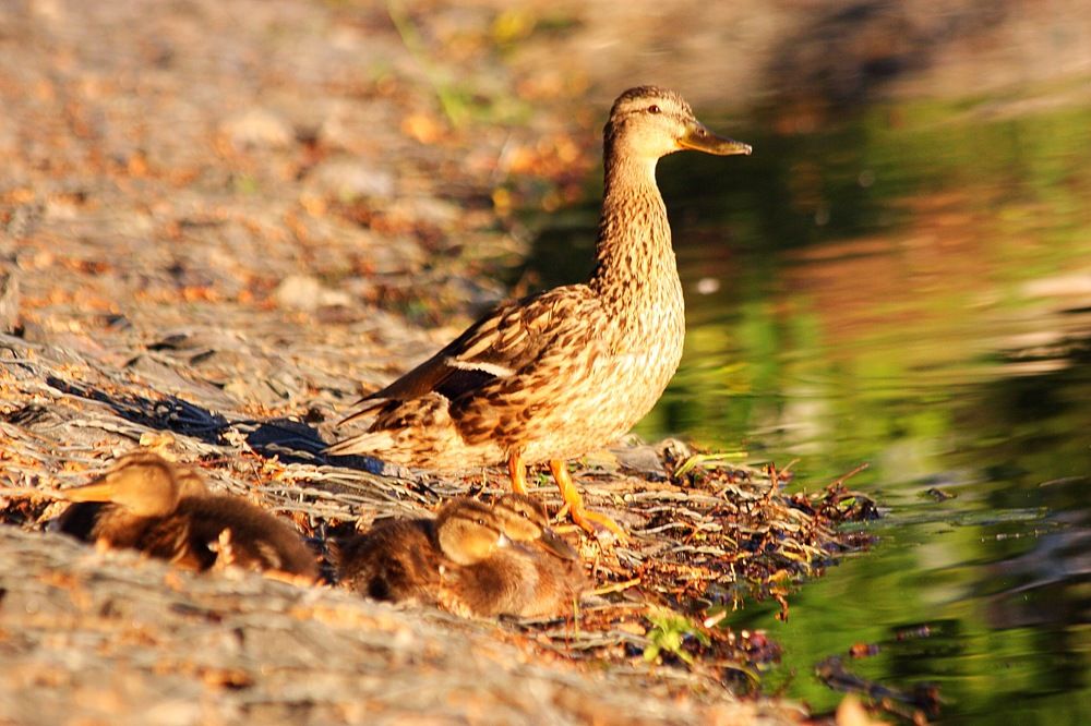 Photograph by Елена Смирнова