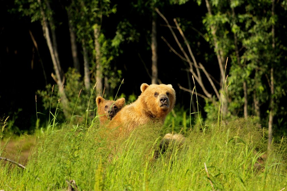 Photograph by Александр