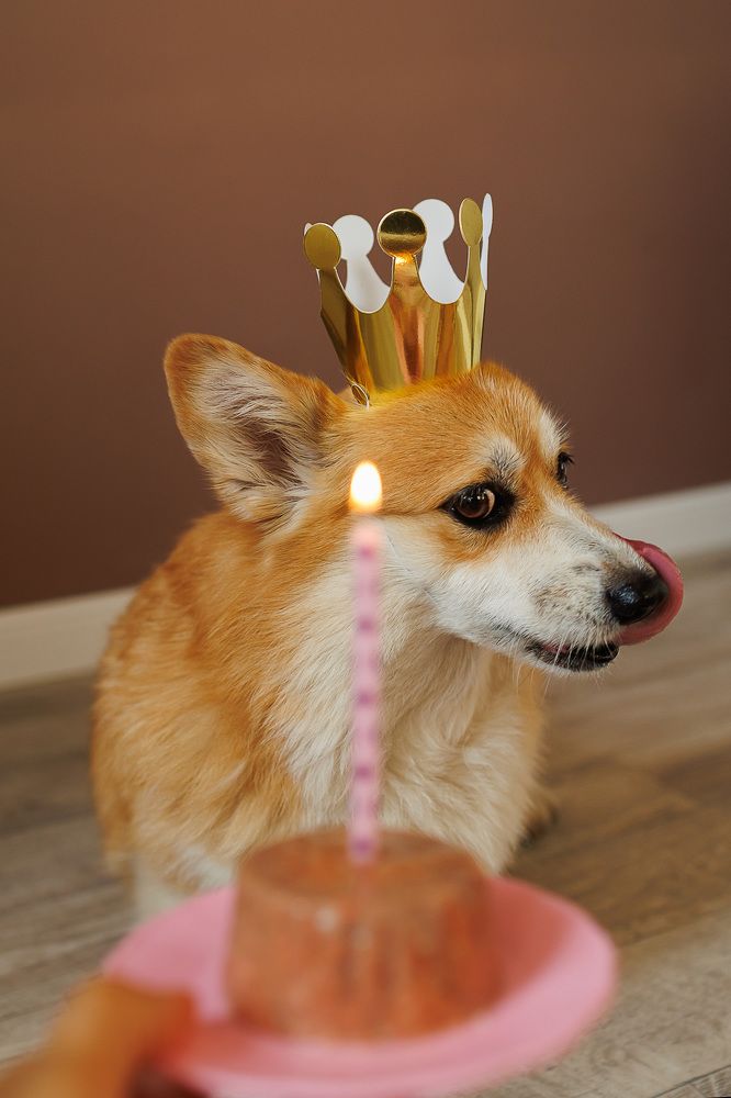 Фотография автора Галина Аверьянова