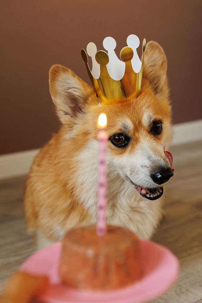 Фотография автора Галина Аверьянова