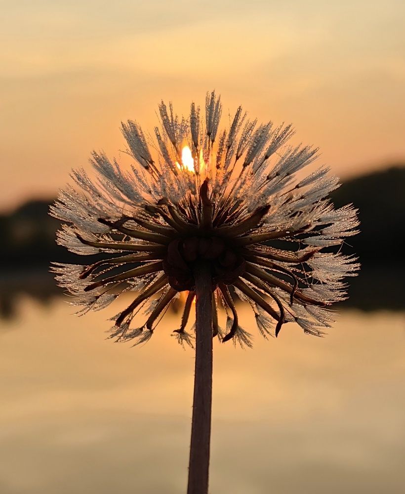 Photograph by Maiya Bulatova