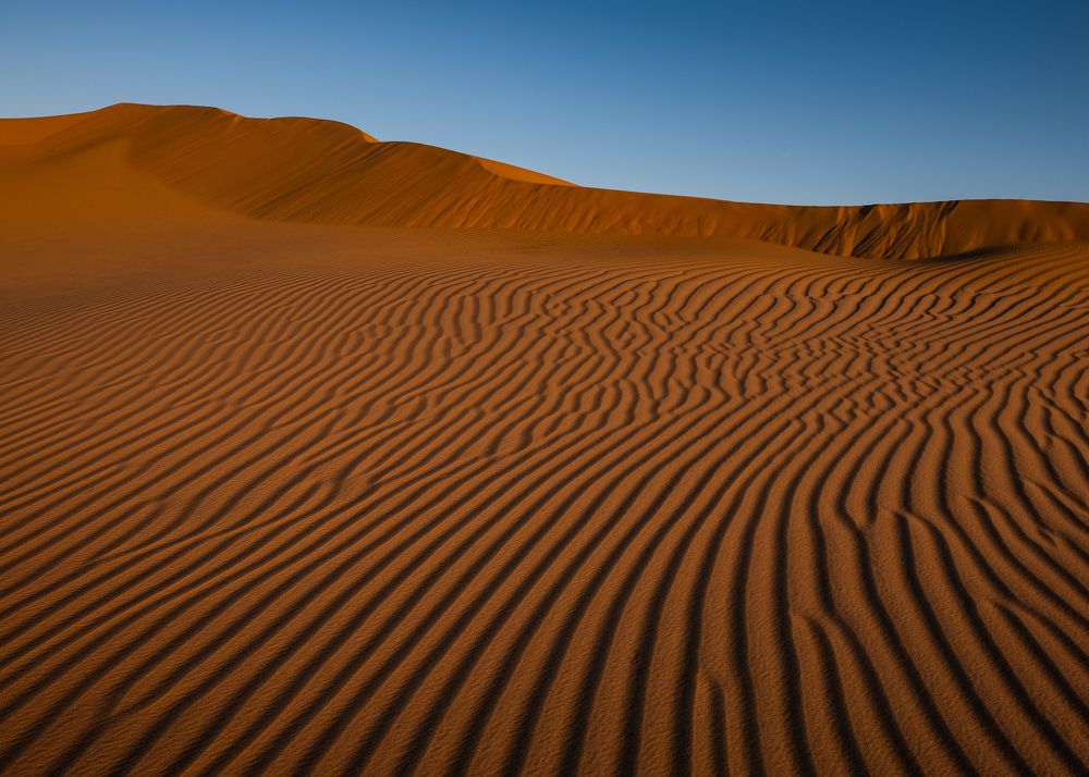 Фотография автора Перевозчиков Андрей