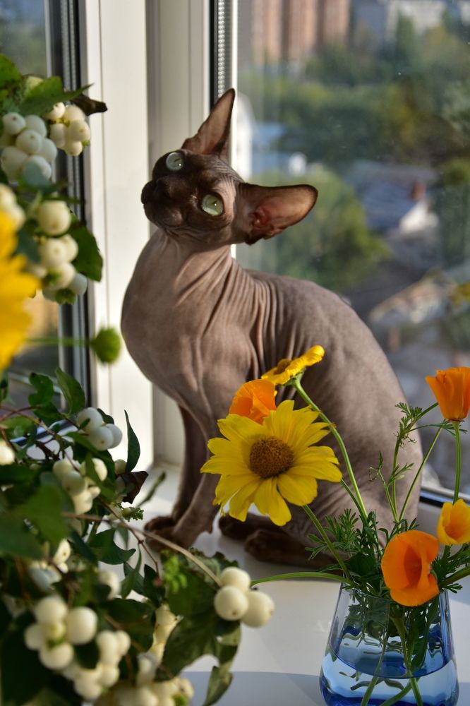 Photograph by Ольга Александрова