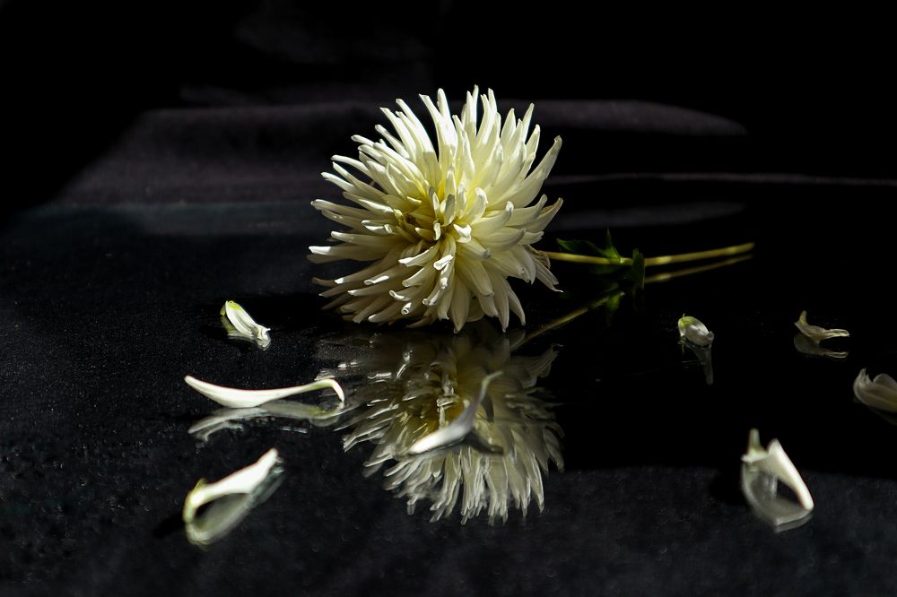 Photograph by Мария Самолевич