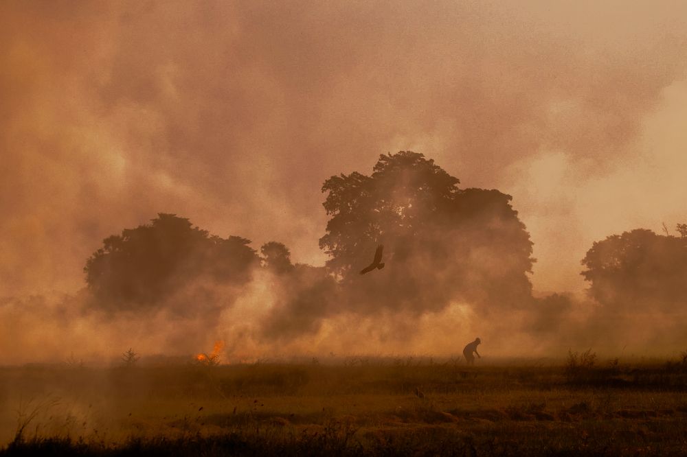 Photograph by  Ahamed Jazif