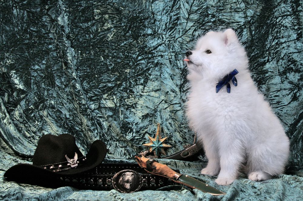 Фотография автора Надежда Лисицына