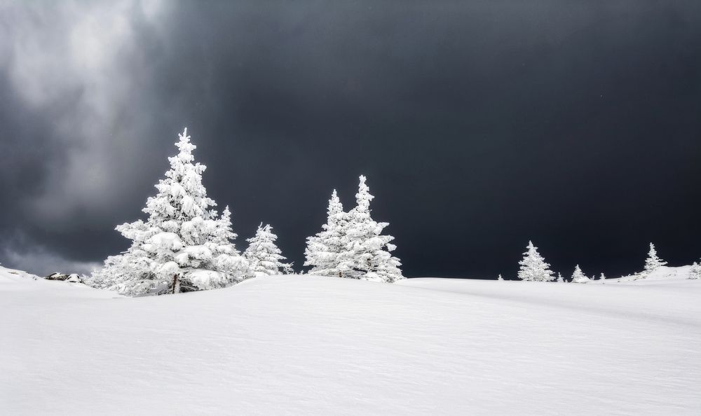 Photograph by Соколова Елена