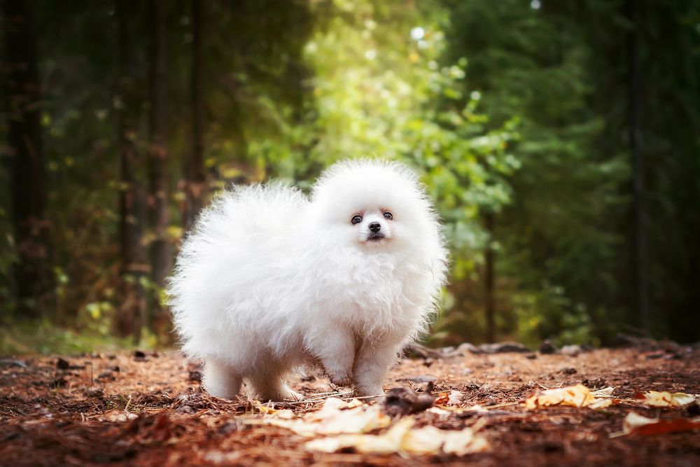 Photograph by Соколова Елена