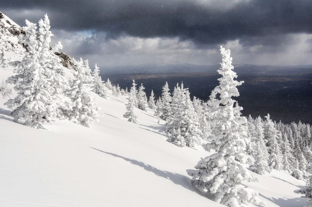 Photograph by Соколова Елена