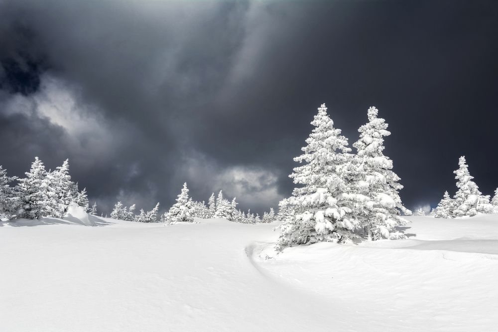 Photograph by Соколова Елена