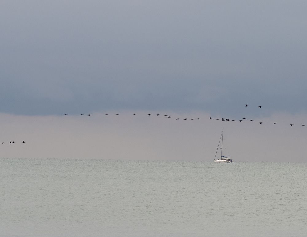 Photograph by Сергей Галёса