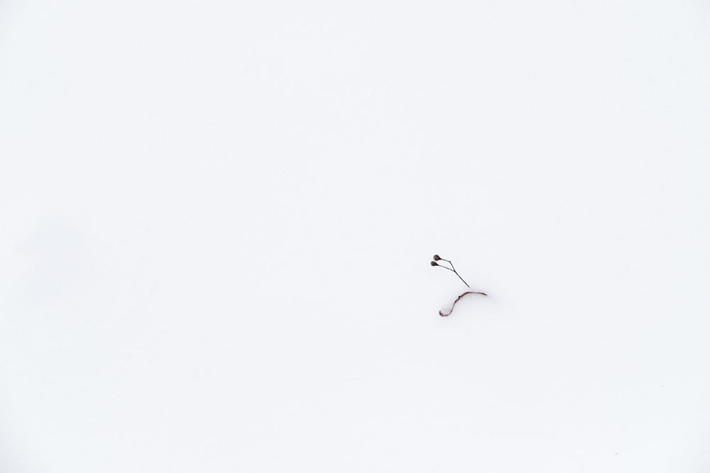 Photograph by Алексей Пирязев