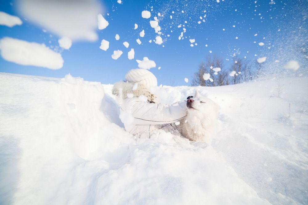 Photograph by Алексей Пирязев