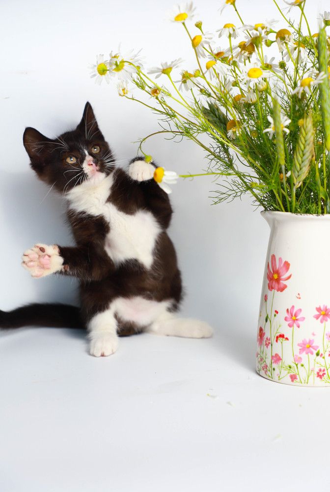 Photograph by Елена Сиднина