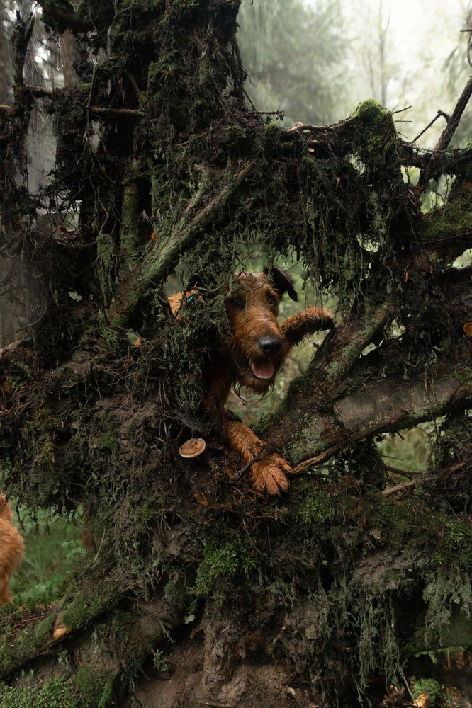 Photograph by Alexandra Kirsh