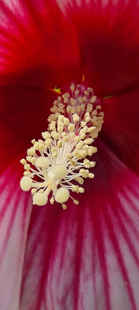 Photograph by Nadzeya