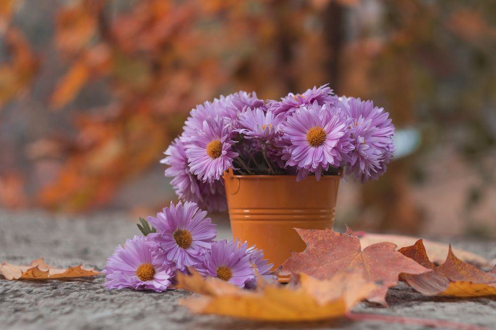 Photograph by Дина Горбачёва
