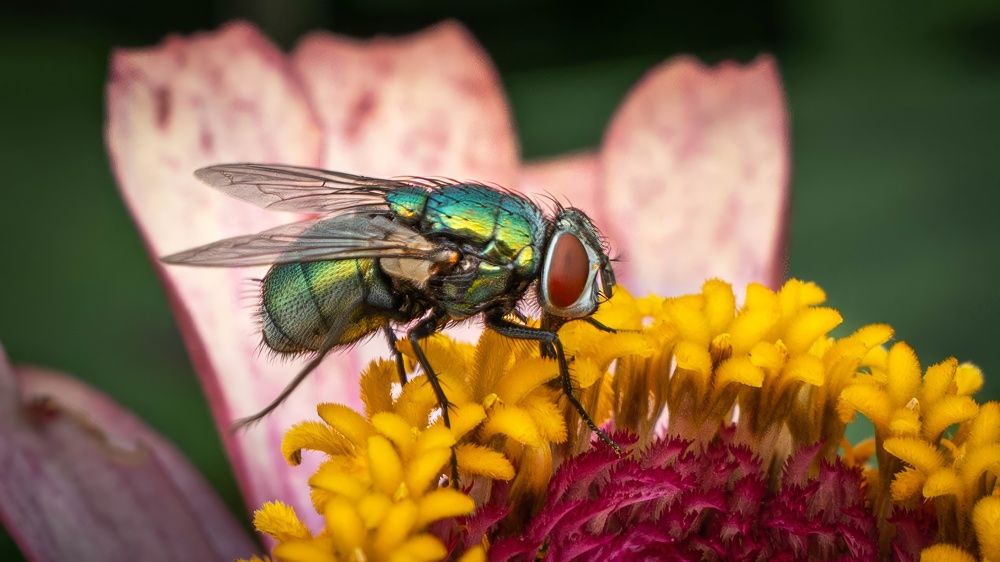 Photograph by Игорь Иванов