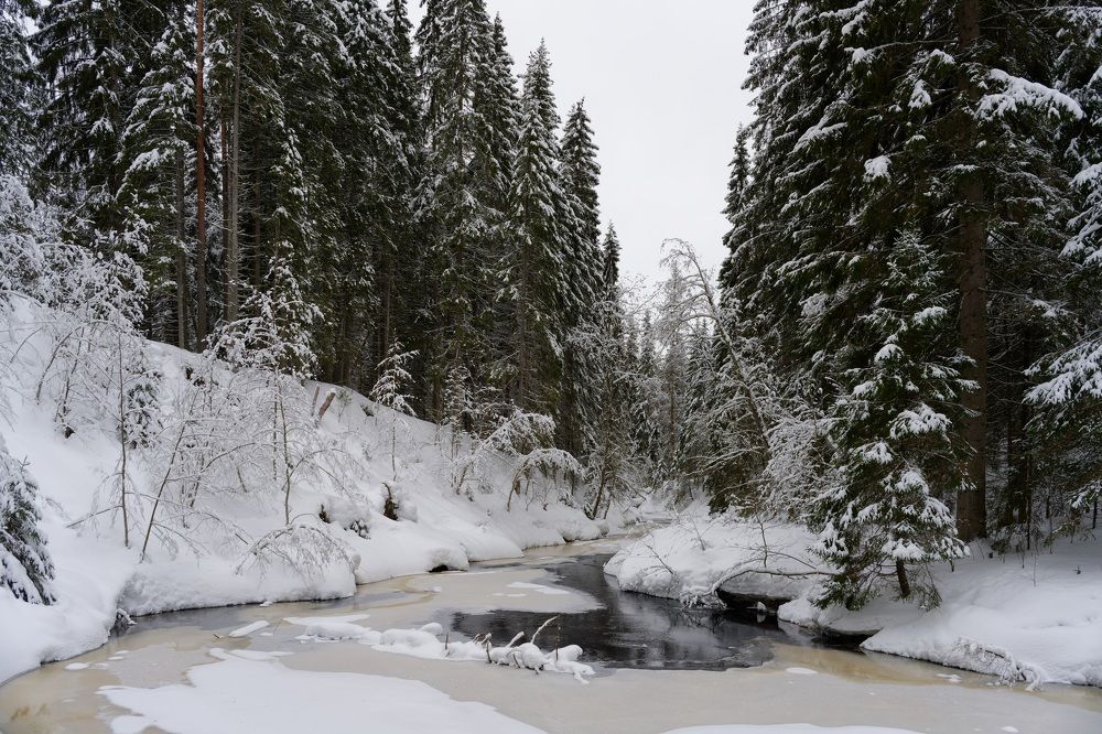 Photograph by Илья Леонов