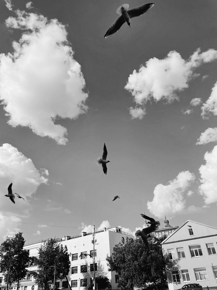 Photograph by Мария Байбарина