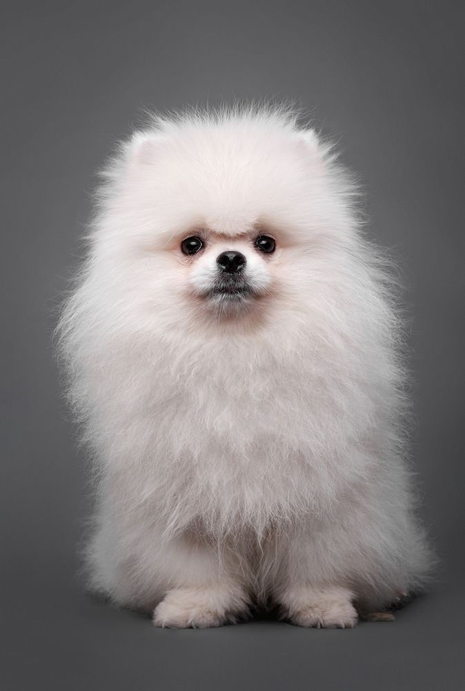 Photograph by Дёгтев Евгений