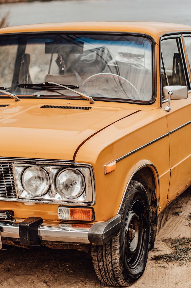 Солнечная копейка