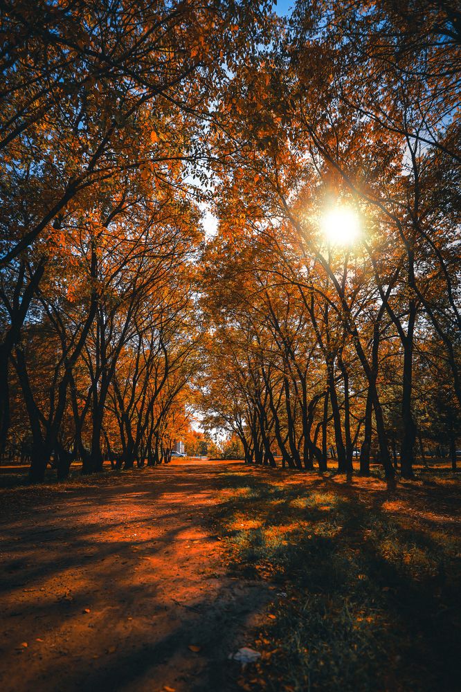 Photograph by Денис Бочаров