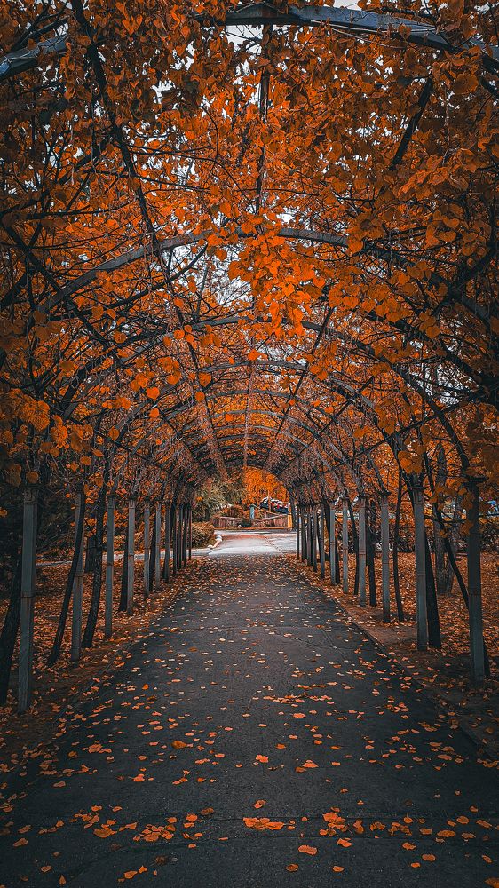 Photograph by Денис Бочаров