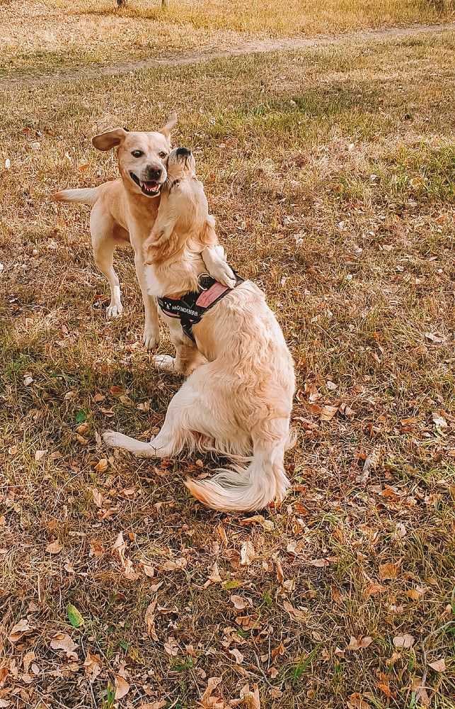 Photograph by Татьяна Пахатинская